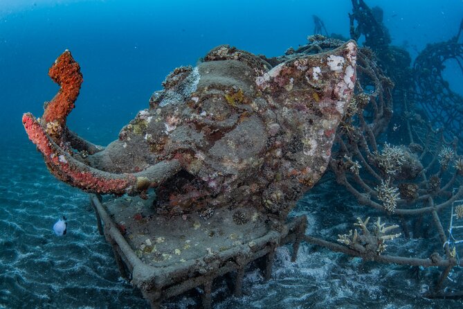 Try Dive Program in the Biorock Pemuteran - Timing, group size, and practical planning