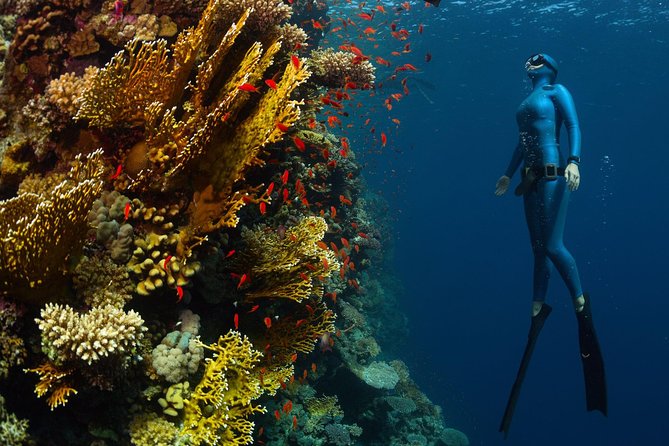 Try Freediving on Nusa Penida - Equipment, photos, and what you receive