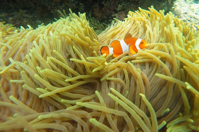 Try Scuba Diving at Padang Bai - Safety, comfort, and who should choose it