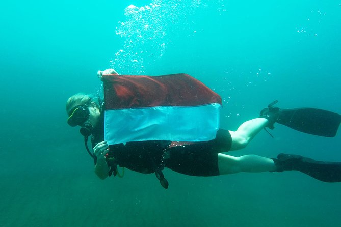 Try Scuba Diving at Tulamben Shipwreck - Learning the basics without a license