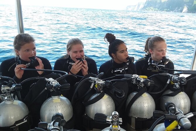 Try Scuba Diving for Beginners with manta rays (Non - Certified) - Meeting the mantas off Nusa Penida