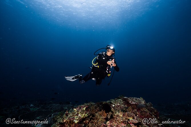 Try Scuba Diving for Beginners with manta rays (Non - Certified) - Who will get the most from this experience