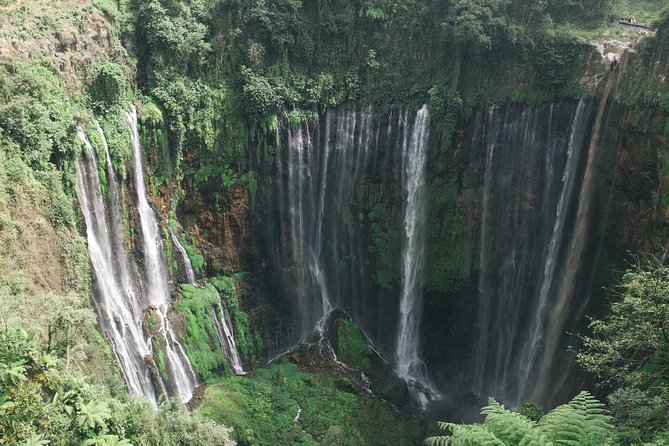 Tumpak Sewu Waterfall & Tetes Cave: A Trip from Malang & Surabaya - The early road from Malang or Surabaya