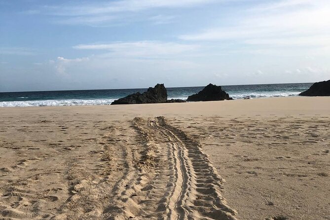 Turtle Tales of Pulau Banyak - Dawn brings the hatchling rush