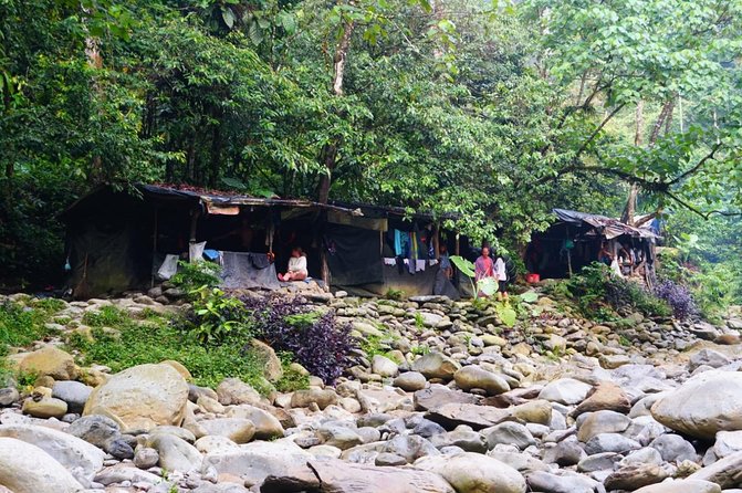 Two days orangutans adventure in Gunung Leuser - Looking for orangutans and other forest animals