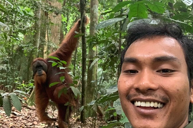 Two days orangutans adventure in Gunung Leuser - What the $157 price is worth