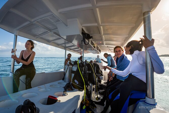 Two fun dives morning trip (Certified Divers only) - Manta Point and the reality of wildlife sightings
