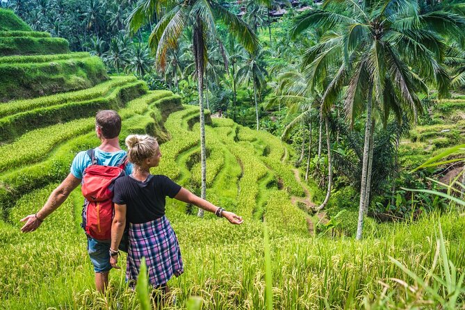 Ubud Adventure All Inclusive Private Day Tour - Reading the terraces at Tegalalang