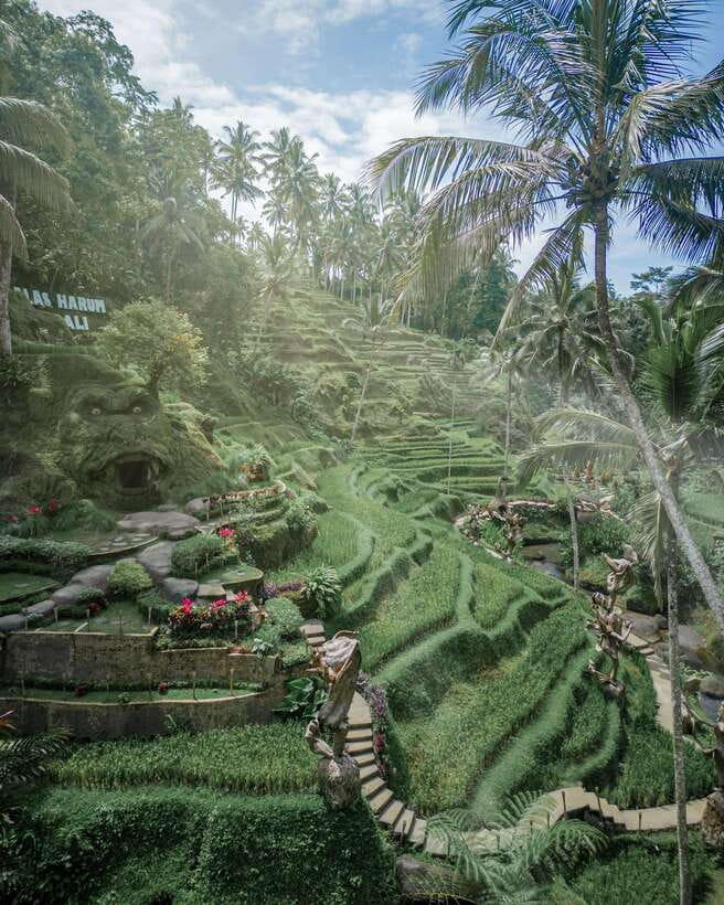 Ubud: Alas Harum Day-Pass, Swing, Sky Bike & Flying Fox - Key points to know before you go