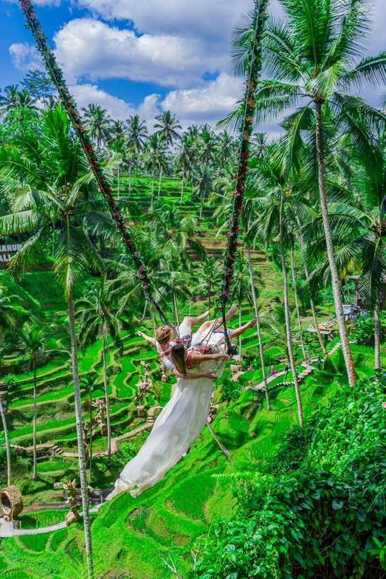 Ubud: Alas Harum Day-Pass, Swing, Sky Bike & Flying Fox - Pedaling 15 meters above the rice fields