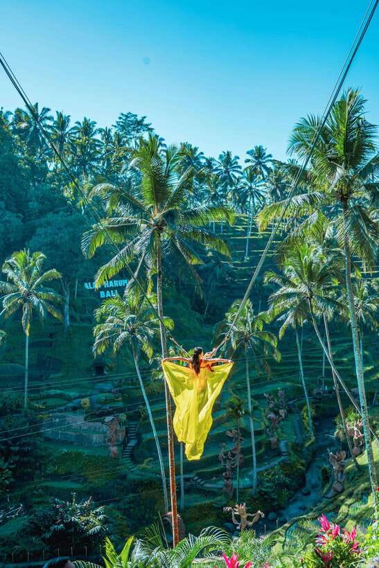 Ubud: Alas Harum Day-Pass, Swing, Sky Bike & Flying Fox - Coffee, agriculture and a slower change of pace