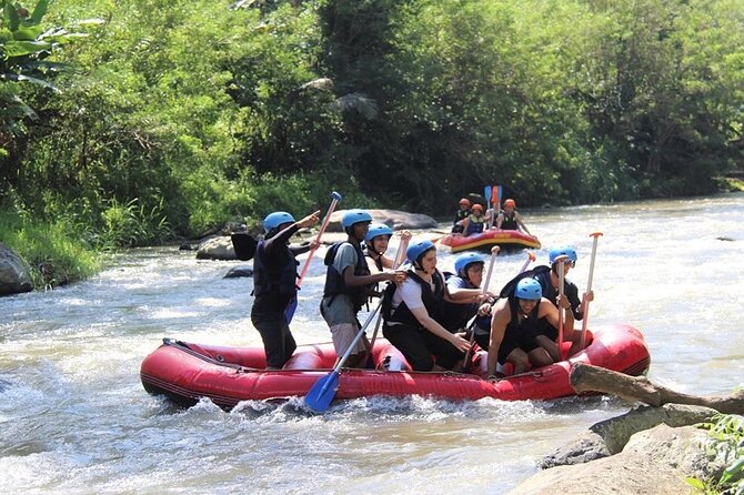 Ubud ATV Quad Bike with Ayung River Rafting Experience - Who will enjoy this Ubud day most