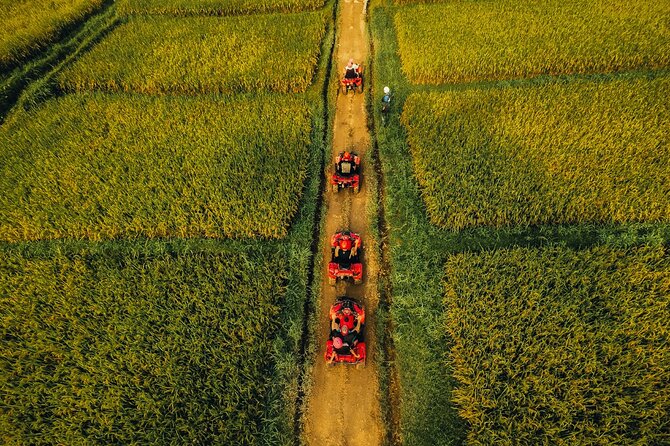 Ubud ATV Ride through River Jungle Rice Fields Puddles - Is $28.73 a good value?