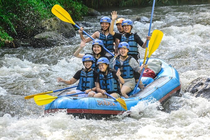 Ubud Ayung Water Rafting included Lunch and Transfer - Why the family-friendly rating needs a little context