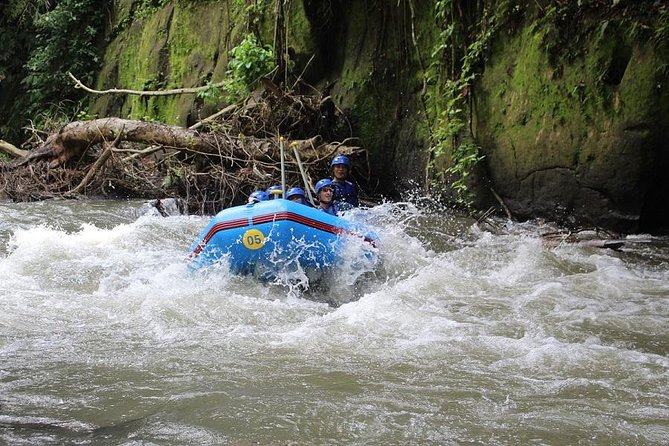 Ubud Ayung Water Rafting included Lunch and Transfer - The parts that receive the most praise