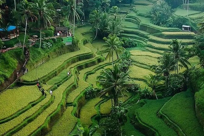 Ubud Bali Driver ( Bali Custom Tour ) - Uluwatu Temple and cliff-top views