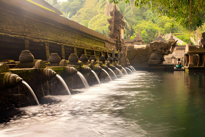 Ubud Bali: Rice Terrace, Waterfall and Tirta empul Day Tour - Why this Ubud route works well from Seminyak