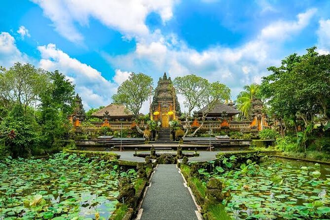 Ubud Bali: Rice Terrace, Waterfall and Tirta empul Day Tour - What the private format really gives you
