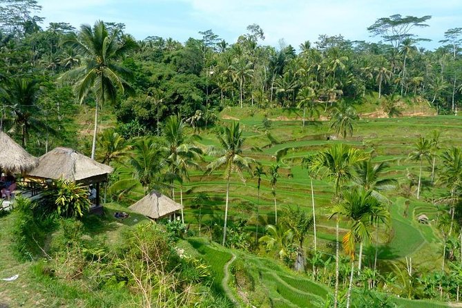 Ubud Combine Mount Batur Kintamani Tour - Mount Batur and Lake Batur in daylight