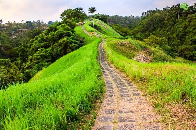 Ubud Countryside Tour: Campuhan Ridge Walk and Rice Terrace - A country day from Ubud, not a checklist in the city