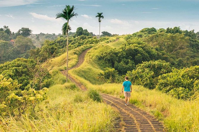Ubud Countryside Tour: Campuhan Ridge Walk and Rice Terrace - Tirta Empul gives the day its spiritual center