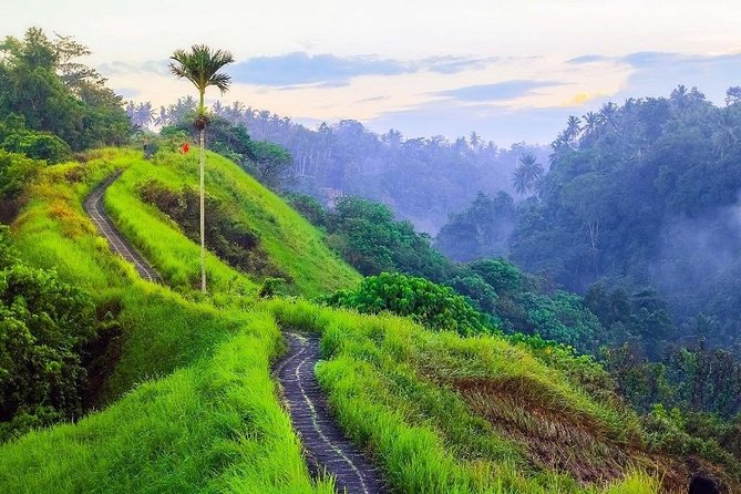 Ubud Countryside Tour: Campuhan Ridge Walk and Rice Terrace - Coffee plantation stop adds a taste of Bali