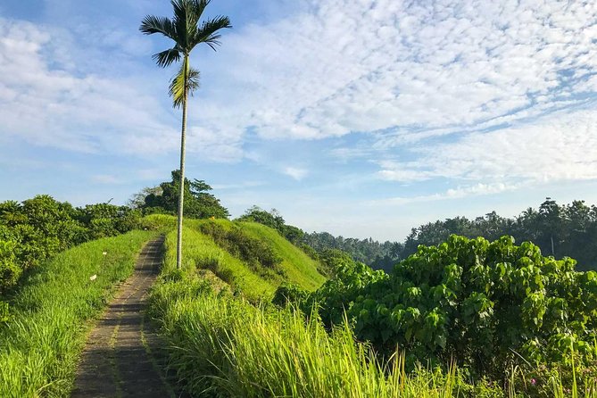 Ubud Countryside Tour: Campuhan Ridge Walk and Rice Terrace - A first look at Balinese home life