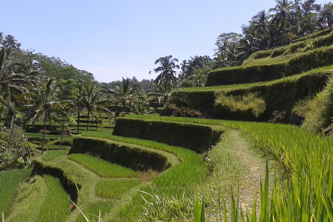 Ubud Cultural Day Tour: A Day for Balinese Cultural Experience - Ubud Palace and the royal connection
