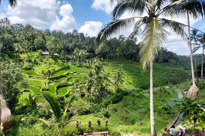 Ubud Customized Private Tour - Tegenungan Waterfall and Kanto Lampo