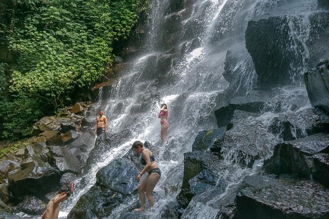 Ubud Customized Private Tour - Tegalalang Rice Terrace and the Bali swing