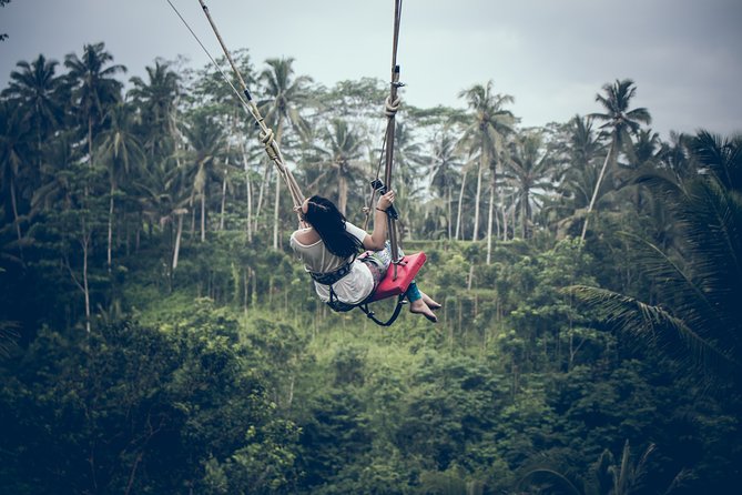 Ubud Customized Private Tour - Ubud, the starting point for your choices