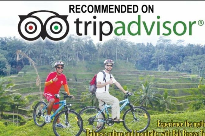 Ubud Cycling Tour - Why the Mount Batur downhill ride works so well