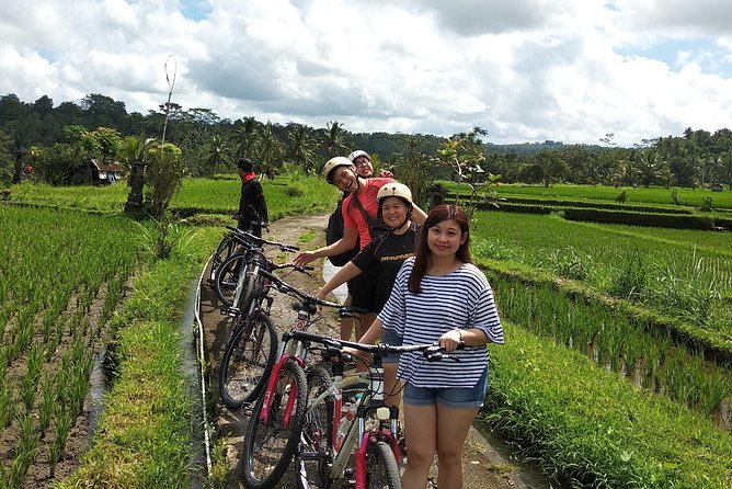 Ubud Cycling Tour - A cycling route for families and mixed abilities