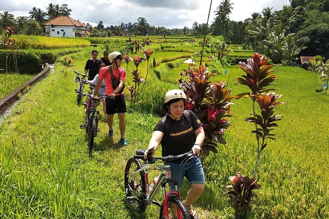 Ubud Cycling Tour - What $50 really covers