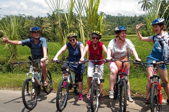 Ubud Cycling Tour - Tegalalang Rice Terrace in a quick ten-minute stop