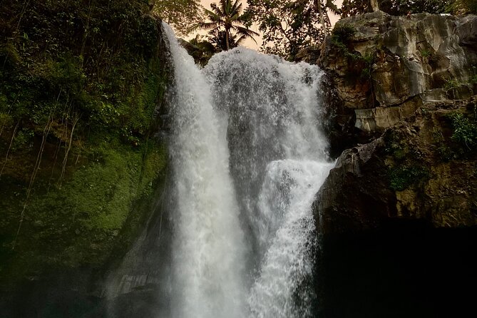 Ubud Day Tour - Private Ubud Tour Guide - Best Of Ubud Tour - Tirta Empul Temple and its holy springs