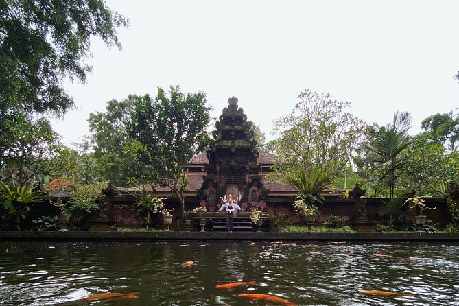 Ubud Day Tour - Private Ubud Tour Guide - Best Of Ubud Tour - What the private vehicle adds to the day