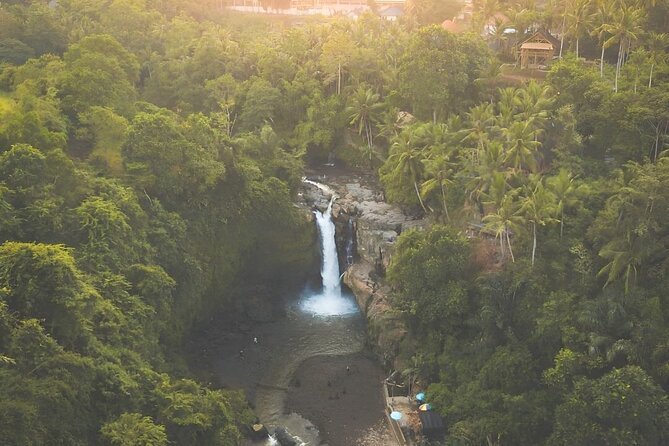 Ubud Day Tour: Sacred Monkey Forest, Tegenungan Waterfall, Rice Terrace - Why this private Ubud route works well from Kuta