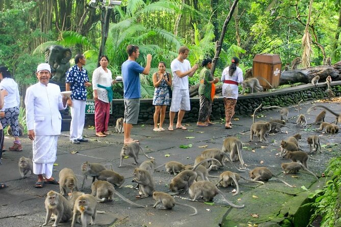 Ubud Day Tour: Sacred Monkey Forest, Tegenungan Waterfall, Rice Terrace - Tegalalang Rice Terrace and the view across the valley