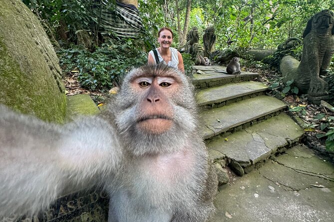 Ubud Day Tour with Private Car & Local Driver - The driver is the day’s most important variable