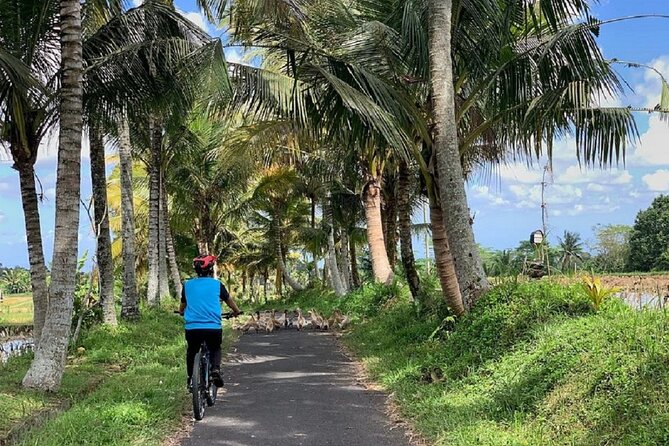 Ubud: Downhill Cycling with Volcano, Rice Terraces and Meal - Coffee, herbs, and the road to the ride