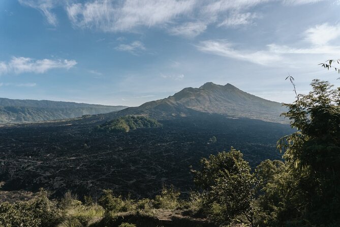 Ubud: Downhill Cycling with Volcano, Rice Terraces and Meal - A school, temple, and Balinese family compound