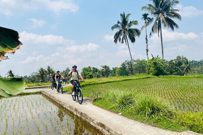 Ubud eBikes Tour to Tegallalang Rice Terrace - Lunch above the Tegallalang terraces