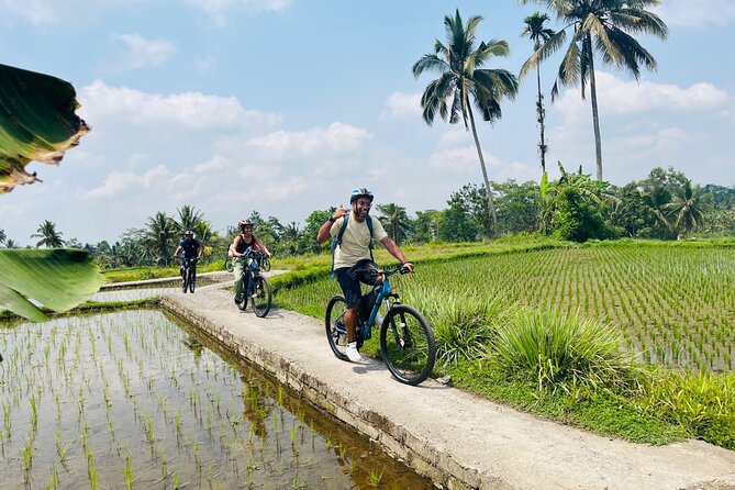 Ubud eBikes Tour to Tegallalang Rice Terrace - How much value do you get for $30.55?