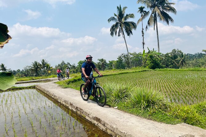 Ubud eBikes Tour to Tegallalang Rice Terrace - Pickup, group size, and the meeting point