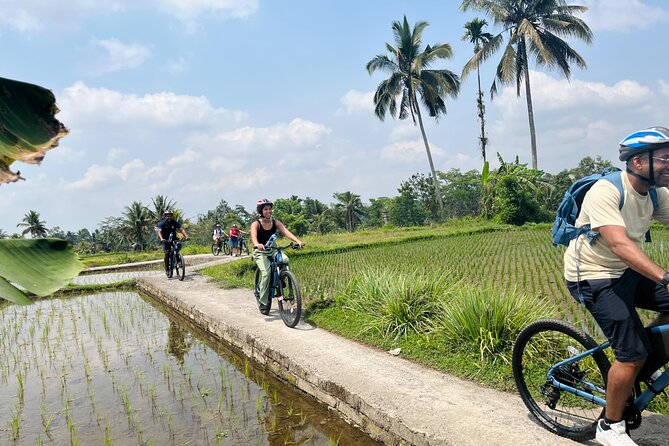 Ubud eBikes Tour to Tegallalang Rice Terrace - The guides make the difference