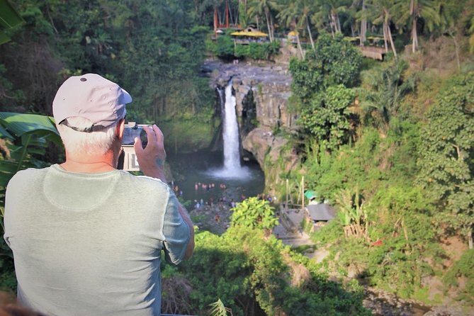 Ubud Experience | Full Day Private Tour in Ubud | FREE WIFI - Saraswati Temple and Ubud’s artistic center