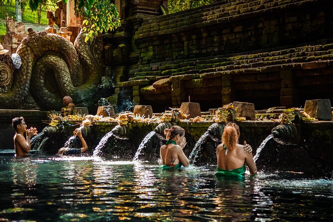Ubud Experience | Full Day Private Tour in Ubud | FREE WIFI - Tegalalang Rice Terrace and the famous Balinese irrigation system