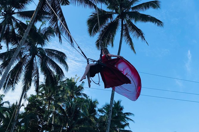 Ubud Experience ; Swing, Waterfalls, Art Market, Rice Terrace - Ubud Palace and the royal center