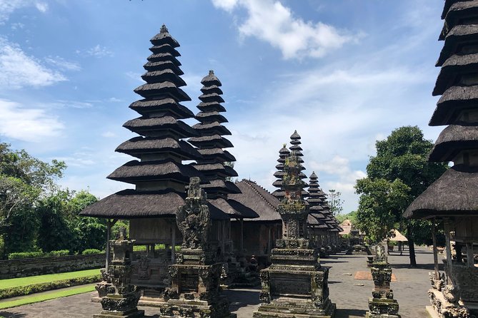 Ubud Experience ; Swing, Waterfalls, Art Market, Rice Terrace - What private transport changes